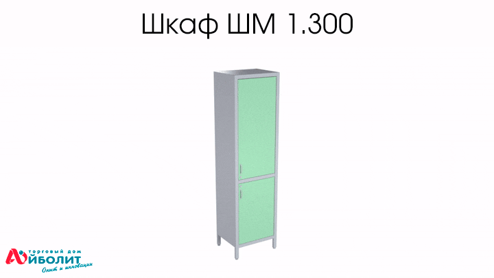 Шкаф ШМ 1.300 с сейфом, металлический, медицинский - Фото 2